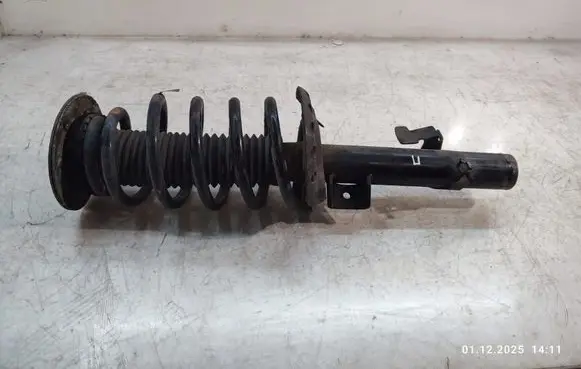 Land Rover Discovery Sport Front shock absorber with coil spring