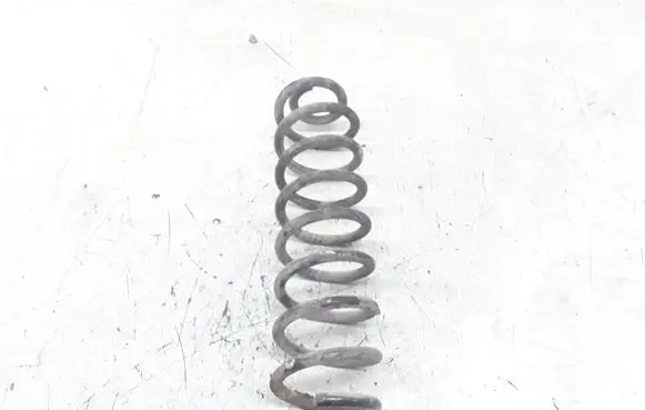 Renault Megane II Rear coil spring