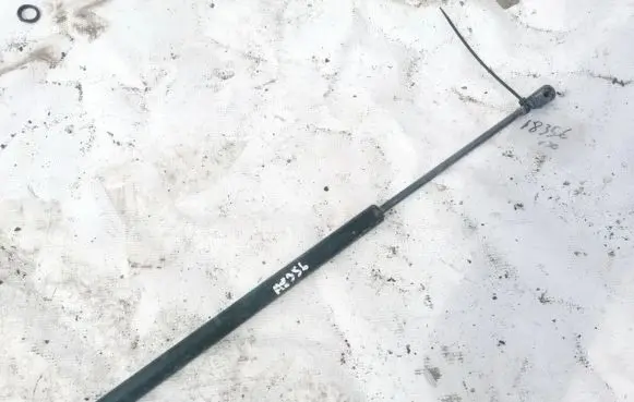 Renault Scenic II - Grand scenic II Tailgate/trunk strut/damper 8200616559