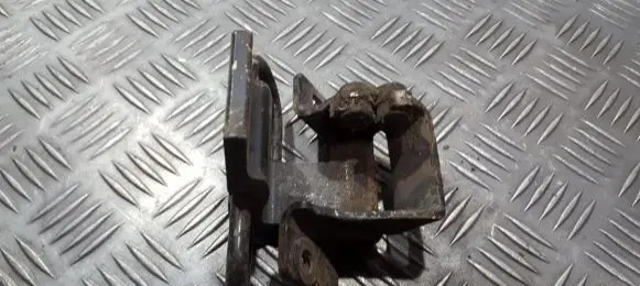 Rear door lower hinge