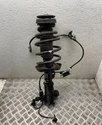 Opel Insignia A Front shock absorber with coil spring 22957278 314801718 562400008980