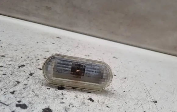 Front fender indicator light