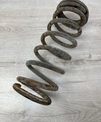 Rear coil spring