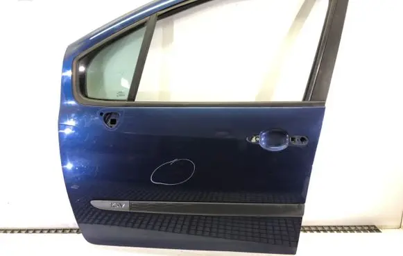 Renault Modus Front door