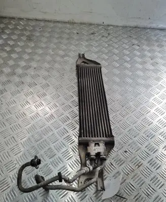 Mercedes-Benz ML W164 Power steering radiator 