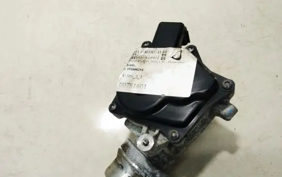 Renault Kadjar Throttle valve 191600254 161a09287r