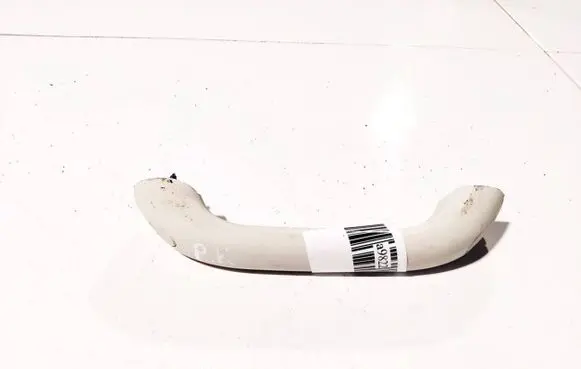Dodge Journey Front interior roof grab handle