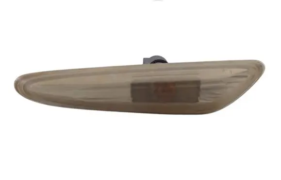 Front fender indicator light