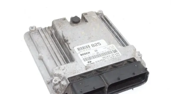 Hyundai Santa Fe Engine control unit/module 391032F440 0281017541