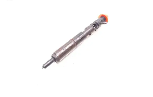 Nissan Note (E11) Fuel injector 166001137R 28232251 H8200421897