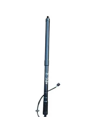 Ford C-MAX II Tailgate strut AM51-R404C84-AG