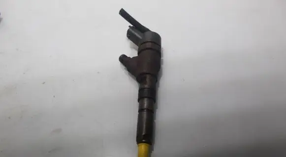 Peugeot Partner Fuel injector 0445110062
