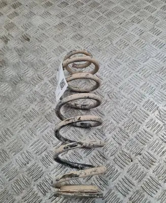 Rear coil spring