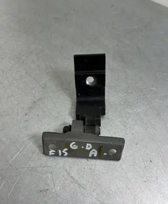 Rear door lower hinge