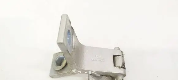 Rear door lower hinge