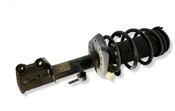 Opel Combo D Front shock absorber with coil spring 51976579