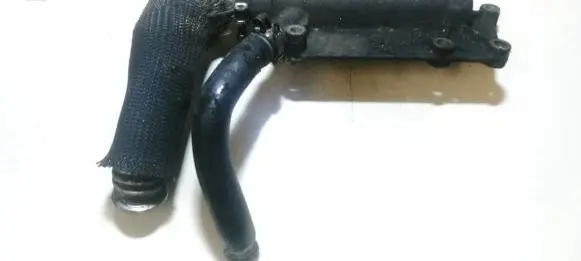 KIA Carnival Engine coolant pipe/hose