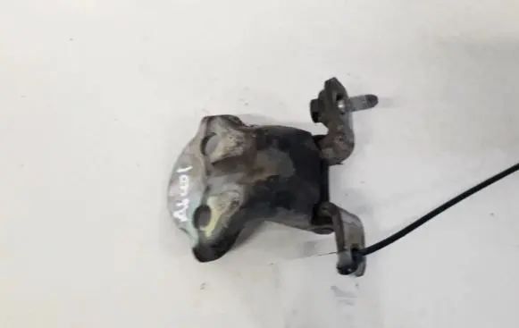 Volvo S40, V40 Rear door lower hinge
