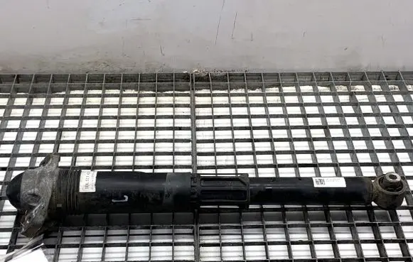 Volkswagen ID.3 Rear shock absorber/damper 1EA512011AD