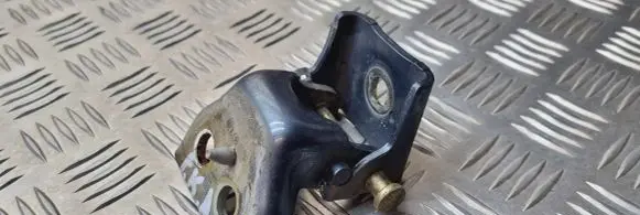 Peugeot 407 Front door lower hinge 