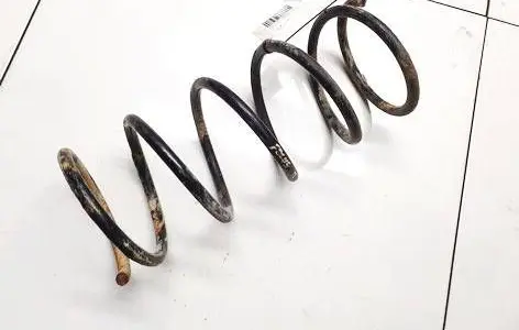 Front coil spring