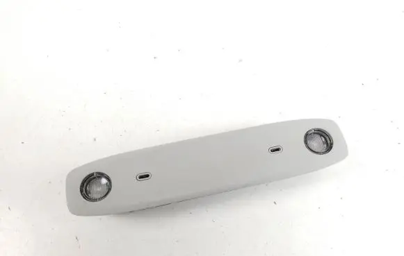 Tesla Model 3 Rear seat light 109257400C