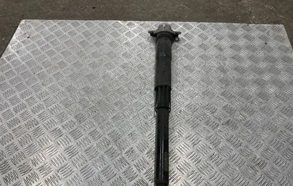 Rear shock absorber/damper
