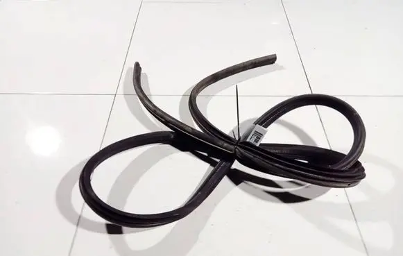 Renault Scenic I Rubber seal front coupe door 