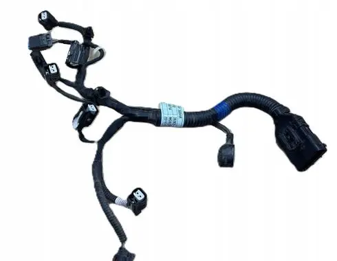 Hyundai Sonata DN8 Fuel injector wires 353022M400