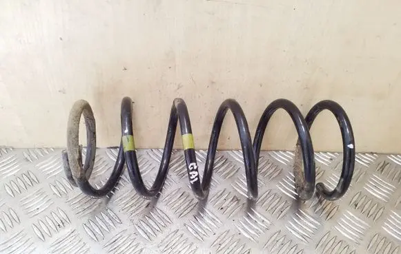 Rear coil spring
