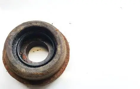 Coil spring mount