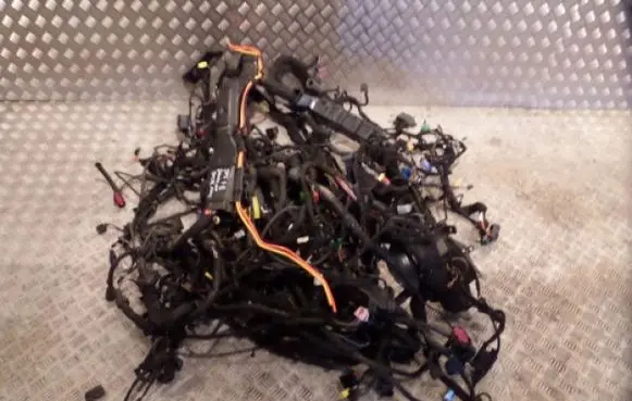 Porsche Cayenne (9Y0 9Y3) Wiring harness 