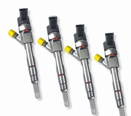 Renault Kangoo II Fuel injector 0445110110