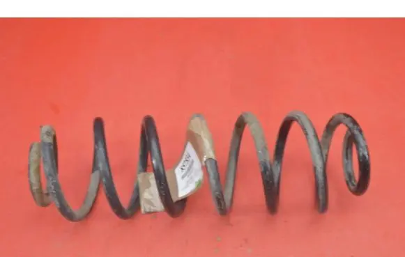 Rear coil spring