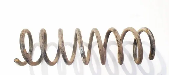 Rear coil spring