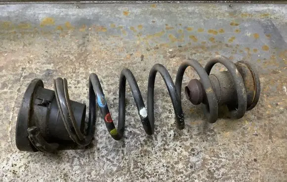 Rear coil spring