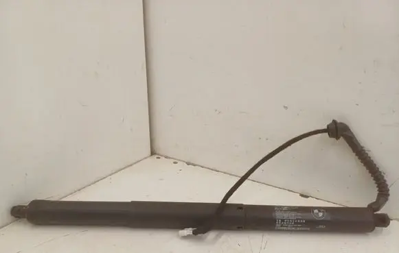 BMW X5 F15 Tailgate/trunk strut/damper 7361878