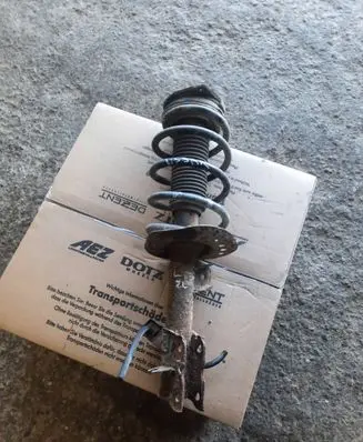 Nissan Qashqai Front shock absorber with coil spring 54302BR24A