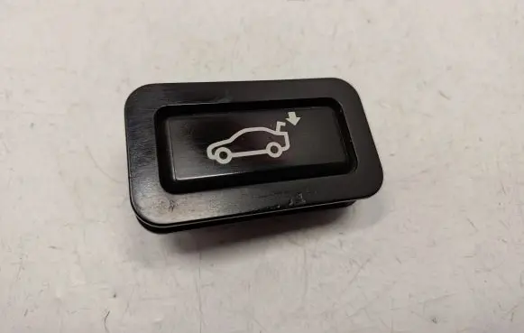 BMW 5 E39 Tailgate/boot open switch button 8375580 61318375580