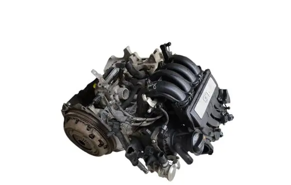 Volkswagen Golf V Engine ccs