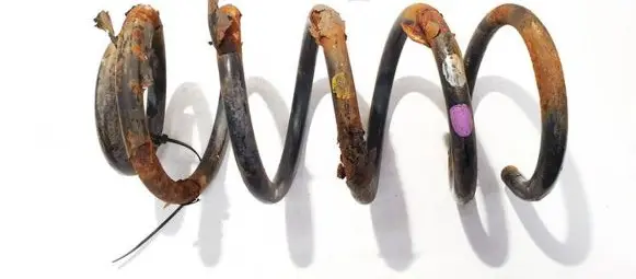 Rear coil spring