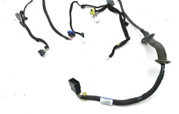 Front door wiring loom