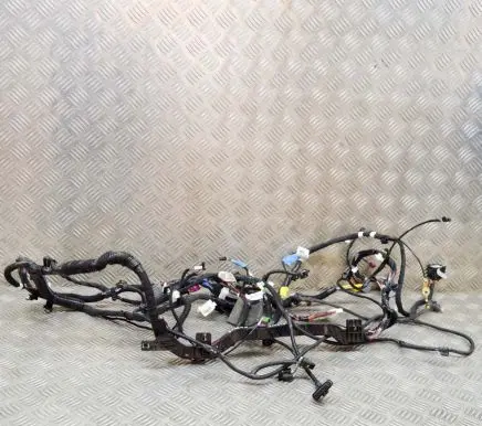 Tesla Model 3 Other wiring loom 111769002A