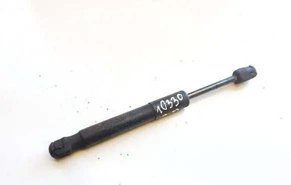 Tailgate/trunk strut/damper