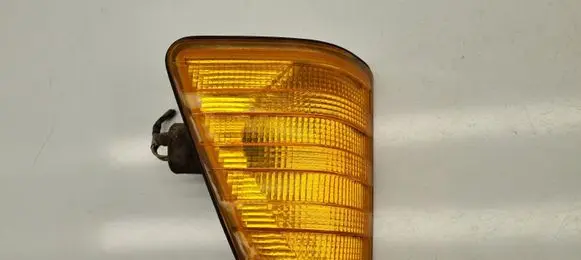 Mercedes-Benz 307 Front indicator light