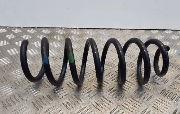 Nissan Qashqai Rear coil spring