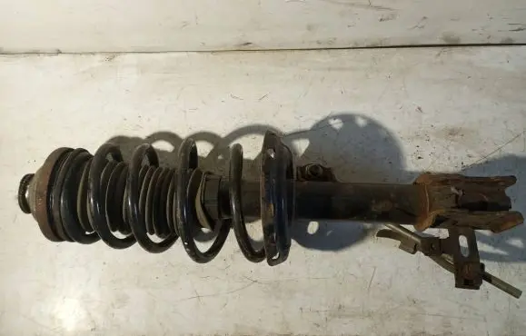 Opel Astra H Front shock absorber/damper 24466538