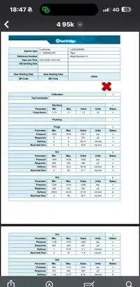Renault Scenic III - Grand scenic III Fuel injector H8201100113 166006212R