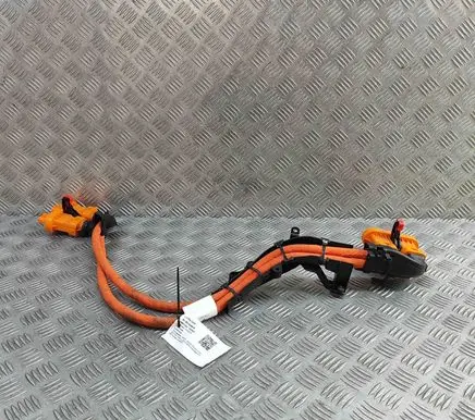 Skoda Enyaq iV Other wiring loom 1EA971015AK