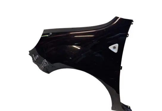 Renault Kangoo II Fender